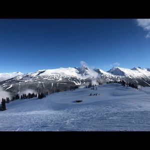 Meet your Posher, Rory